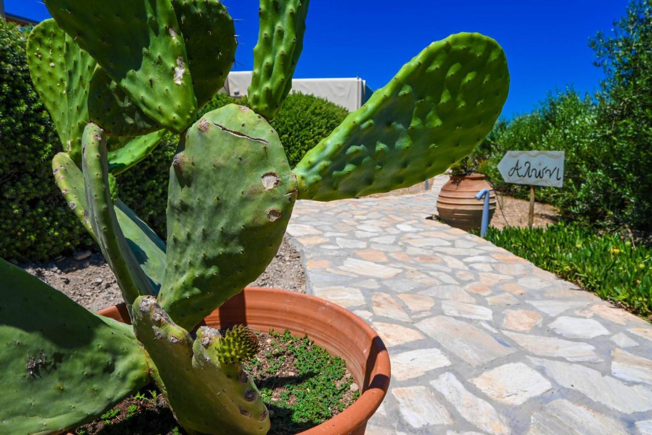 Schinoza Luxury Suites Schoinoussa Dış mekan fotoğraf